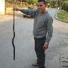 man with dead snake
