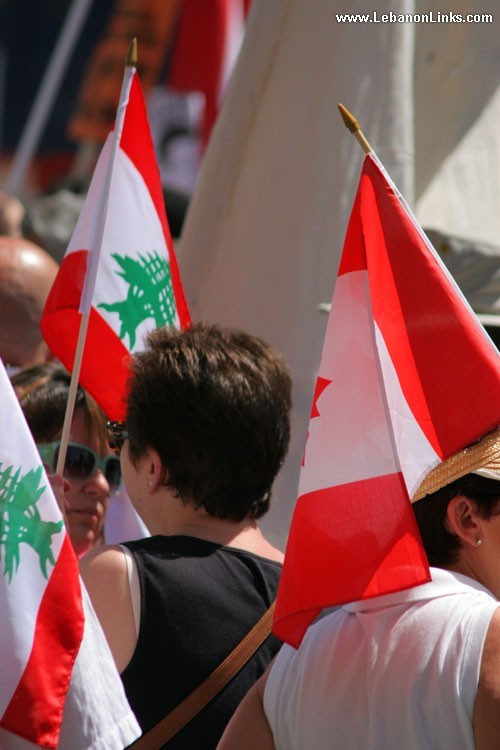 Lebanese Flags in Protests