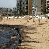 Photo Oil Spill Ramleh El Bayda Beach
