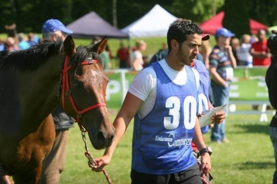 Prince Khaled bin hamad al khalifa with horse photo