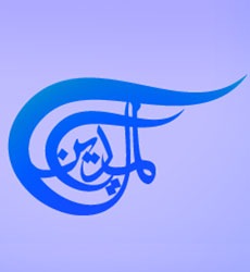 Al Mayadeen Television