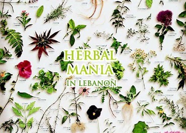 Herb-mania in Lebanon