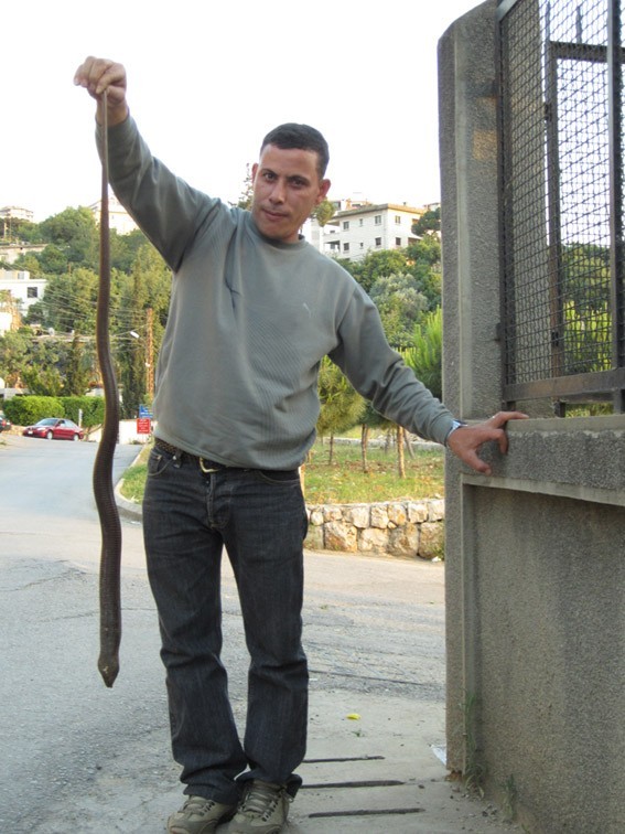 Ahmad Taha posing with dead snake 
