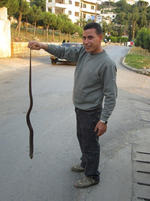 man with dead snake