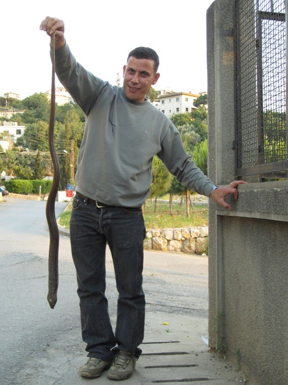 Man kills 2 meters snake