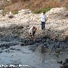 Photo Oil Spill Coast Beirut North 1