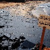 Photo Oil Spill Eddeh Sands 3