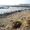 Photo Oil Spill Tripoli North Lebanon