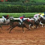 Beirut Hippodrome Lebanon Horse Racing