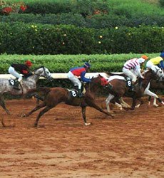 Photograph of Beirut Hippodrome Lebanon Horse Racing NULL Lebanon