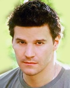 Photograph of David Boreanaz Person United States