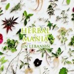 Herb-mania in Lebanon