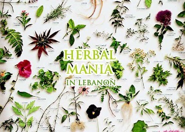 Photograph of Herb-mania in Lebanon NULL Lebanon