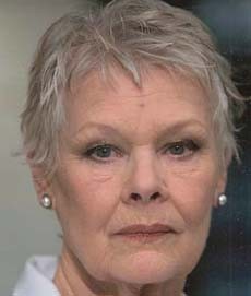 Photograph of Judi Dench Person UK