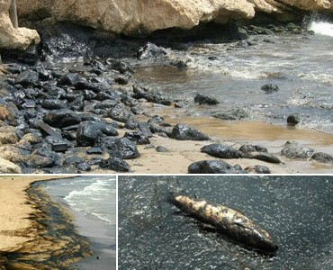 Photograph of Environmental Disaster along the Mediterranean Coastline of Lebanon NULL Lebanon