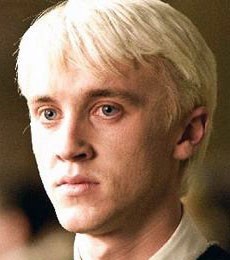 Photograph of Tom Felton Person UK