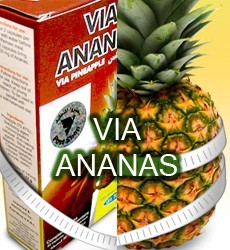 Photograph of Via Ananas NULL Lebanon