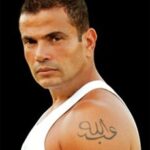 Wayah Amr Diab New 2009 Album