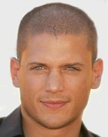 Photograph of Wentworth Miller Person United States