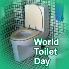 Photograph of World Toilet Day NULL